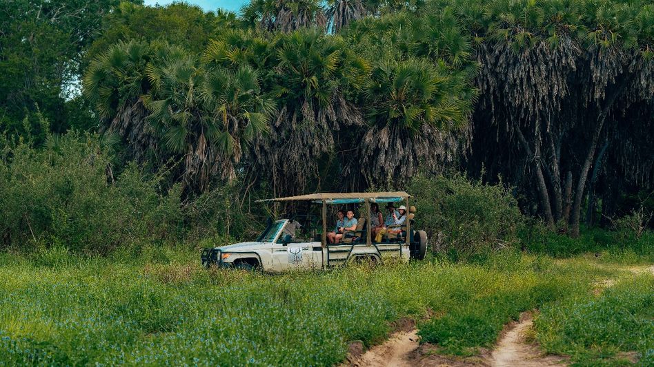 বাঘে ভরা জঙ্গলে খারাপ জিপ, পর্যটকদের ফেলে ছুট গাইডের বাঘে ভরা জঙ্গলে খারাপ জিপ, পর্যটকদের ফেলে ছুট গাইডের
