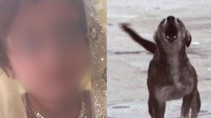 কর্ণাটকে জলাতঙ্কে মৃত্যু ৪ বছরের শিশুর।