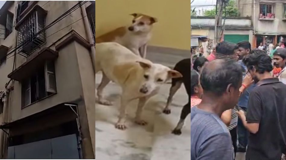 বেহালায় শেল্টারে কুকুর-বিড়ালের টুকরো দেহ, রেস্তরাঁয় পাচার? শিউরে উঠছে এলাকাবাসী   বেহালায় শেল্টারে কুকুর-বিড়ালের টুকরো দেহ, রেস্তরাঁয় পাচার? শিউরে উঠছে এলাকাবাসী