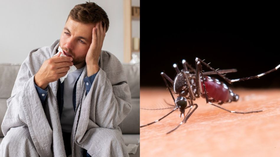 বর্ষাকালে ডেঙ্গি, ম্যালেরিয়া ও ফ্লুর ঝুঁকি বেড়ে যায়, কীভাবে রক্ষা করবেন নিজেকে বর্ষাকালে ডেঙ্গি, ম্যালেরিয়া ও ফ্লুর ঝুঁকি বেড়ে যায়, কীভাবে রক্ষা করবেন নিজেকে