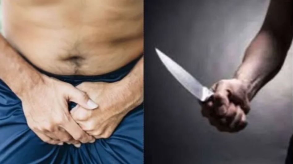 ঘনিষ্ট মুহূর্তে স্বামীর গোপনাঙ্গে ব্লেড চালিয়ে দিল নতুন বউ, রক্তারক্তি, ৭টি সেলাই ঘনিষ্ট মুহূর্তে স্বামীর গোপনাঙ্গে ব্লেড চালিয়ে দিল নতুন বউ, রক্তারক্তি, ৭টি সেলাই