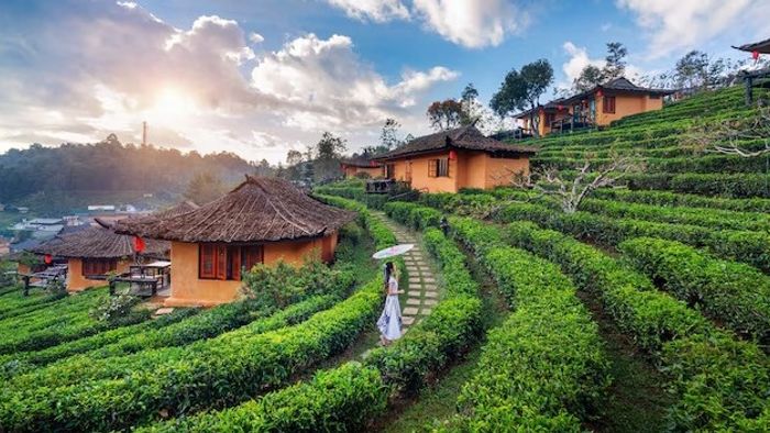 দার্জিলিঙে গিয়ে যে ভুলগুলি করে ঘোরার আসল মজা মাটি করেন বেশিরভাগ, জানুন