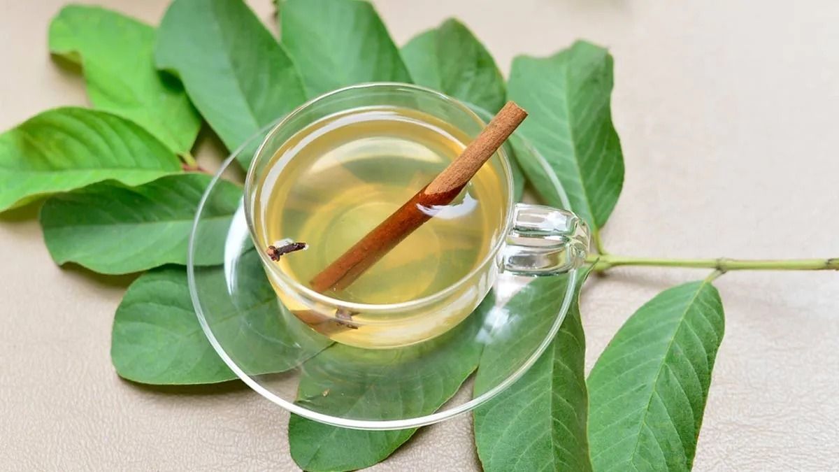 ভাইরাল ফিভার প্রতিরোধ করে, ডায়াবেটিসে দারুণ কাজ দেয়; এই পাতা ধন্বন্তরী