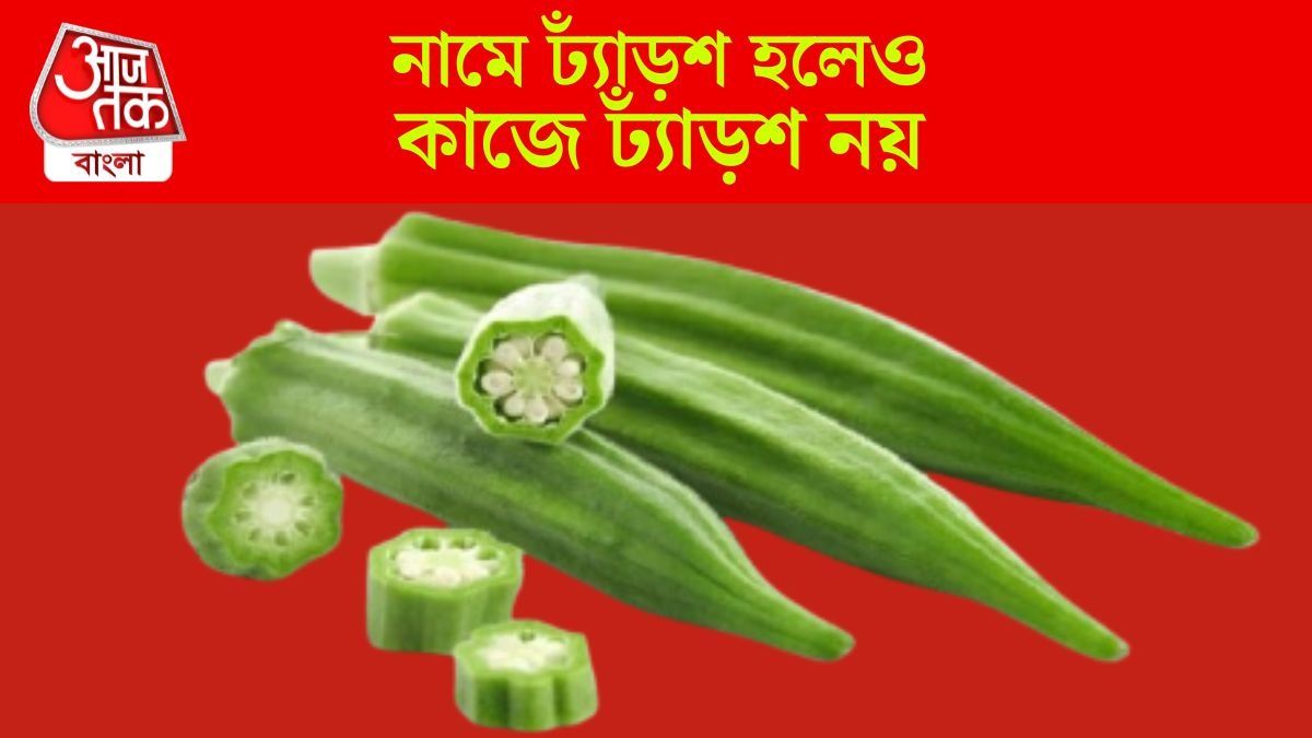 ঢ্যাঁড়শ খেয়েই সুগার কমবে হু হু করে, কীভাবে খাবেন জেনে নিন