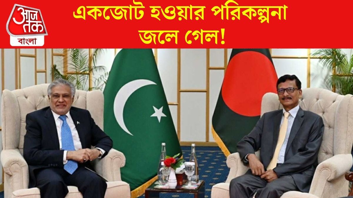 'কোনও সমস্যার সমাধান হয়নি,' পাক বিদেশমন্ত্রীর সঙ্গে একমত নন বাংলাদেশের বিদেশ উপদেষ্টা