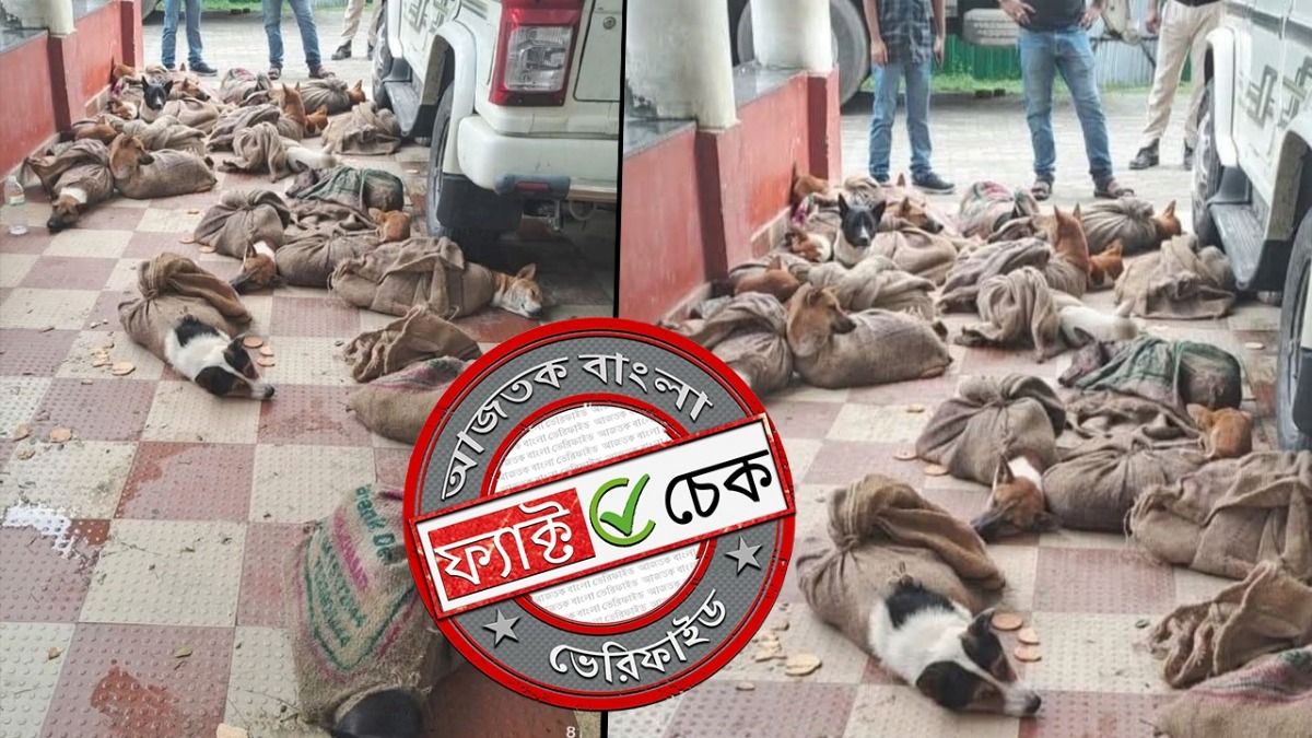 ফ্যাক্ট চেক: দিল্লিতে ভ্যাকসিন দেওয়ার নাম করে কুকুর হত্যা? ছড়াল অসমের অসম্পর্কিত ছবি
