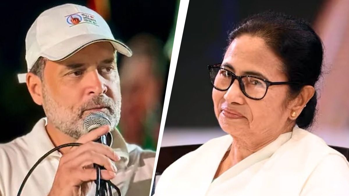 'INDIA' জোটের সবচেয়ে জনপ্রিয় নেতা মমতা না রাহুল? যা বলছে জনতা
