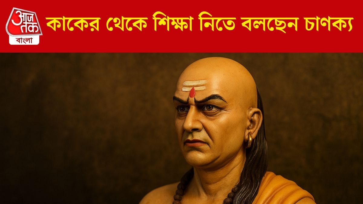 কাকের থেকে শিখুন এই ৫ গুণ, সাফল্য পায়ে চুমু খাবে