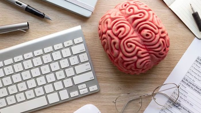 মস্তিষ্ক হবে কম্পিউটারের মতো দ্রুত, ডায়েটে রাখুন এই ৪ খাবার