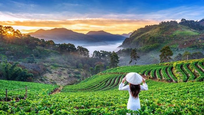 পুজোয় ভিড় এড়িয়ে যেতে পারেন উত্তরের এই ৪টি অফবিট পাহাড়ে