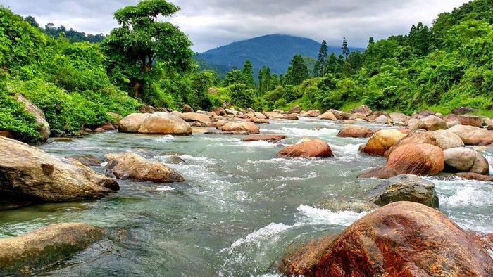 GST র নয়া হারে উত্তরবঙ্গ ভ্রমণ এখন অনেক সস্তা, হোটেল, হোমস্টেতে কত টাকা কমবে?