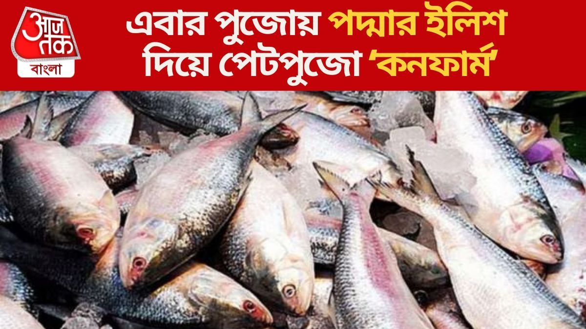 এবার পুজোয় পদ্মার ইলিশ দিয়ে পেটপুজো ‘কনফার্ম’