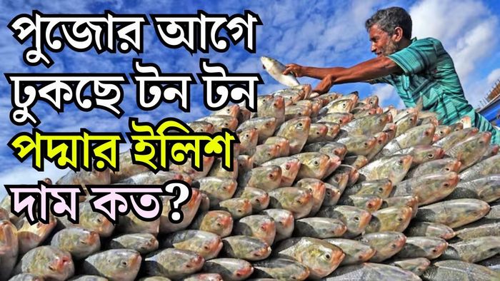 মিনিমাম দাম জেনে নিন। ছবি: X/ @hamidullah_riaz