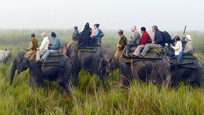 পুজোর মুখে পর্যটকদের জন্য স্বস্তির খবর, হাতি সাফারির টিকিট পাবেন অনলাইনেই