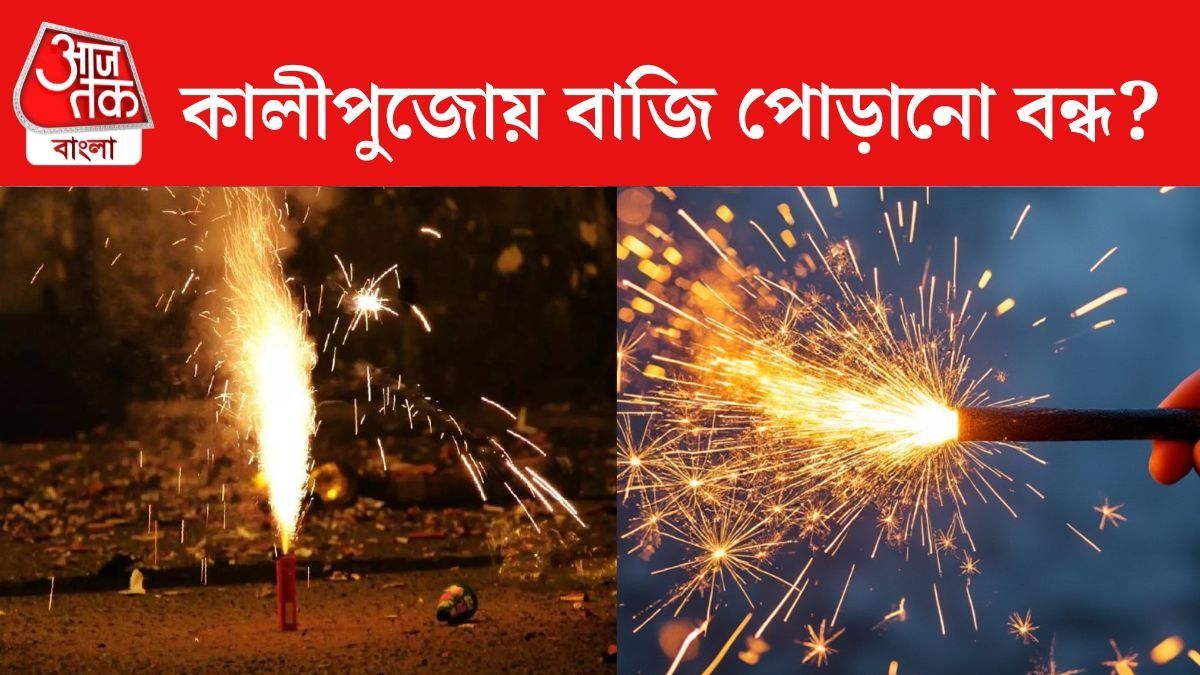 এবার কালীপুজোয় সব বাজিকেই ব্যান করা হতে পারে? তাত্‍পর্যপূর্ণ পর্যবেক্ষণ সুপ্রিম কোর্টের