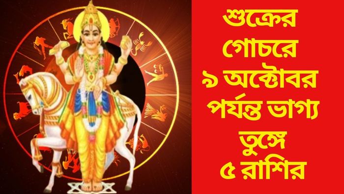 শুক্রের গোচরে ৯ অক্টোবর পর্যন্ত ভাগ্য তুঙ্গে ৫ রাশির