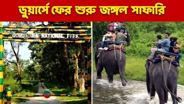 মঙ্গলবার থেকে খুলছে ডুয়ার্সের সব জঙ্গল, সাফারি থেকে এন্ট্রি-ফি বাড়ল না কমল?