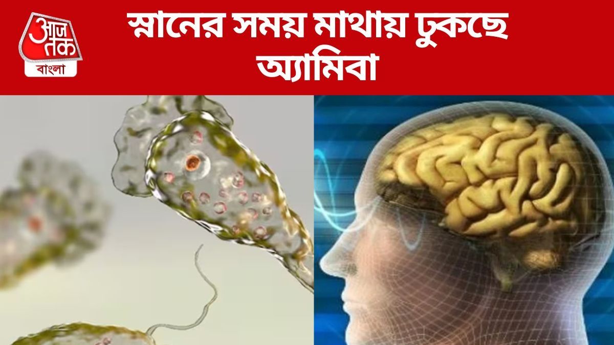 স্নানের সময় মাথায় ঢুকছে অ্যামিবা