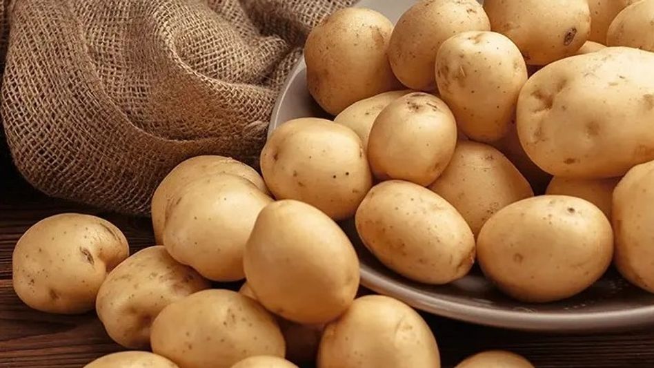 ডায়াবিটিস থাকলেও খাওয়া যেতে পারে আলু, কীভাবে খাবেন? ডায়াবিটিস থাকলেও খাওয়া যেতে পারে আলু, কীভাবে খাবেন?