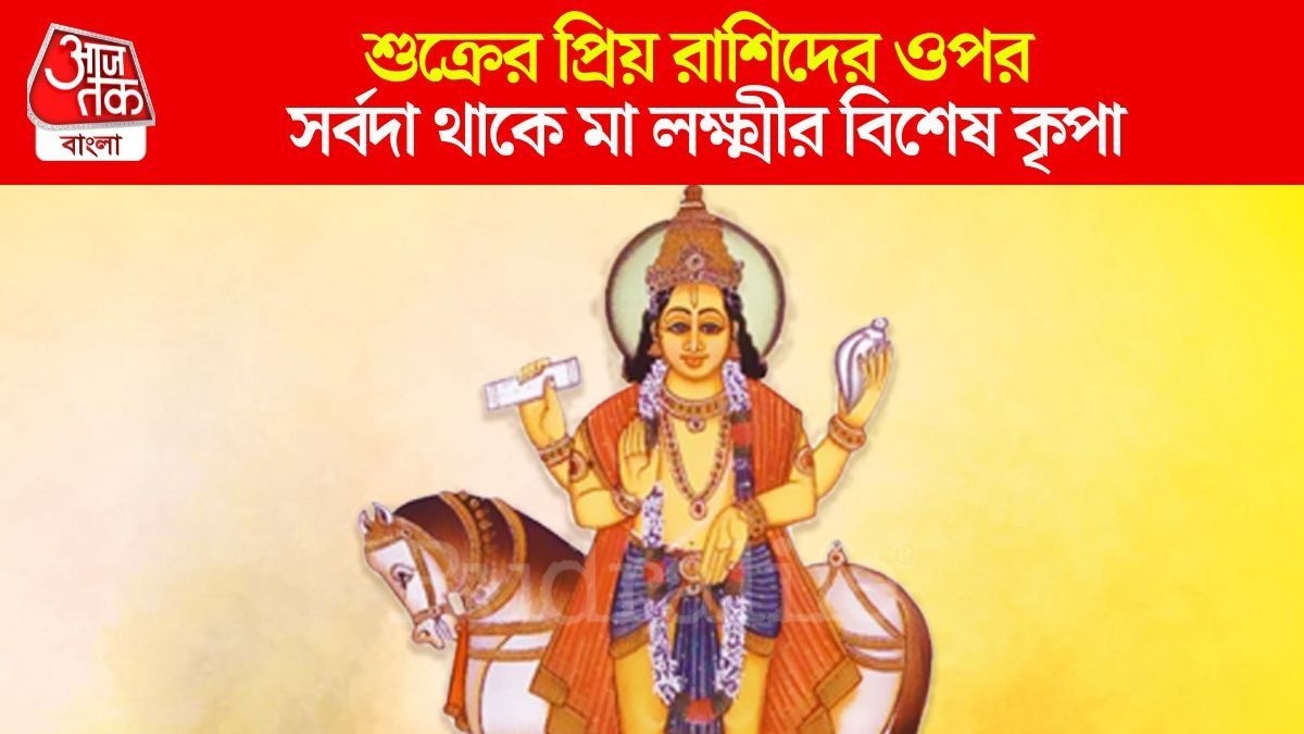 শুক্রের কৃপায় বিলাসবহুল জীবন ৩ রাশির, মা লক্ষ্মীর কৃপায় জীবনে অর্থ-প্রেম ভরপুর