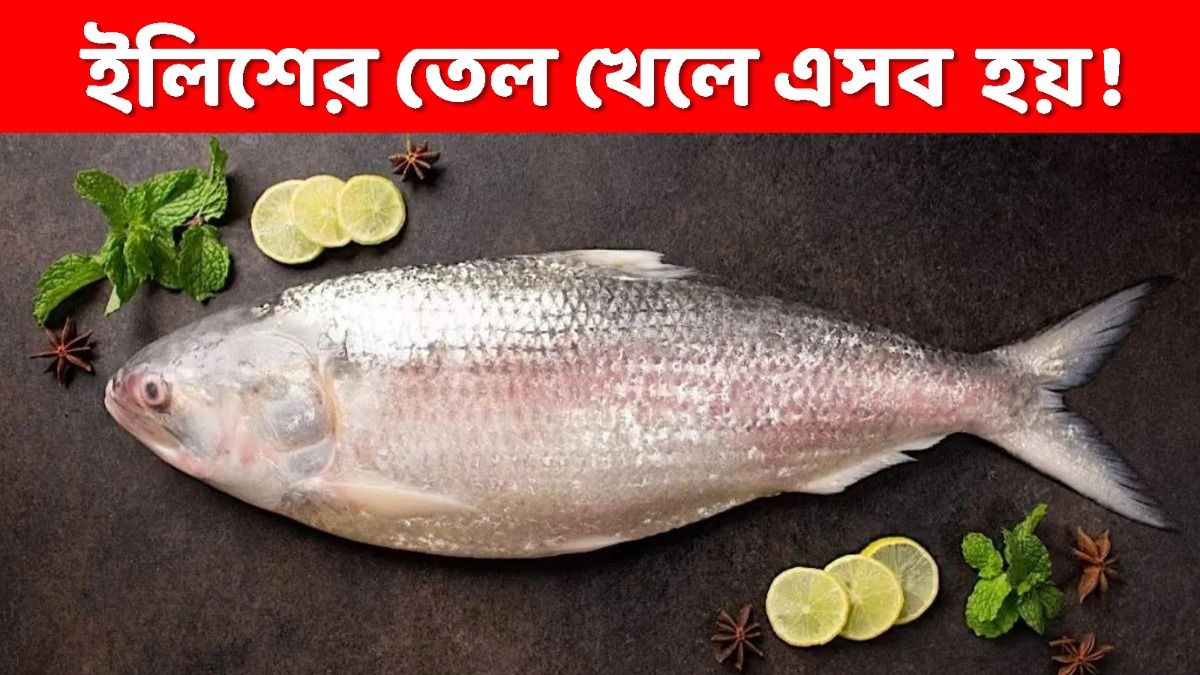 ইলিশ