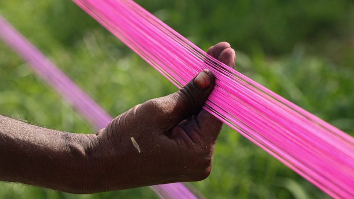 মাঞ্জা (ছবি: PTI)