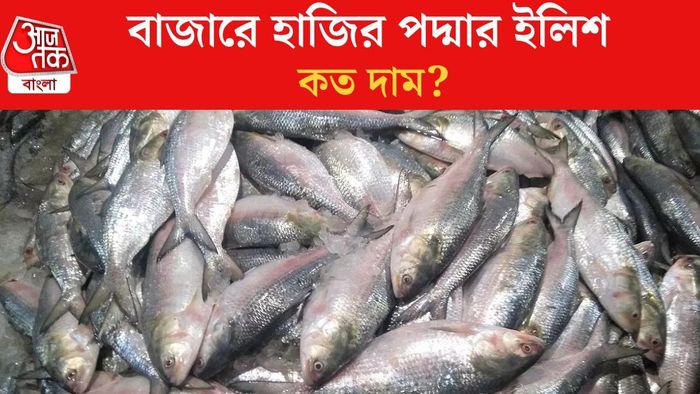 বাজারে হাজির পদ্মার ইলিশ