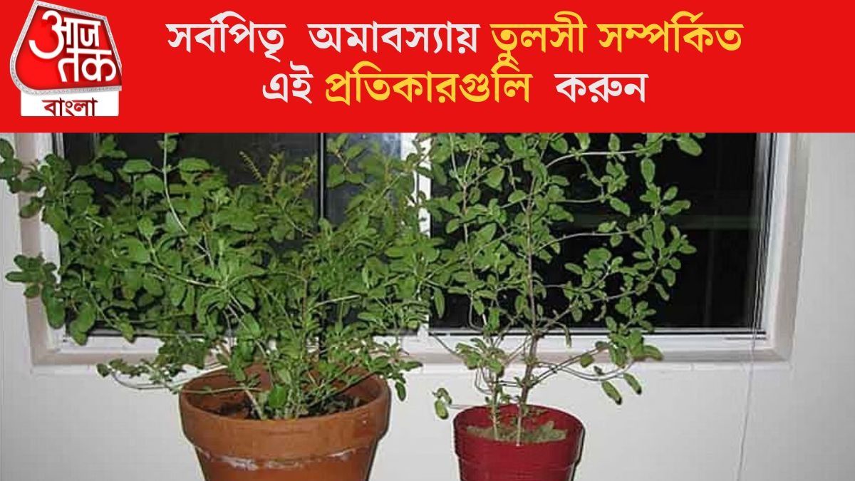  মহালয়ায় করুন তুলসীর এই উপায়, জীবনে ধন ও সমৃদ্ধির পথ খুলবে