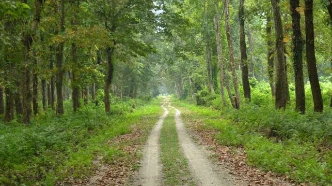 ডুয়ার্সে ট্যুরিস্টদের খরা, পুজোর আগে কপালে চিন্তার ভাঁজ পর্যটকন সার্কিটে