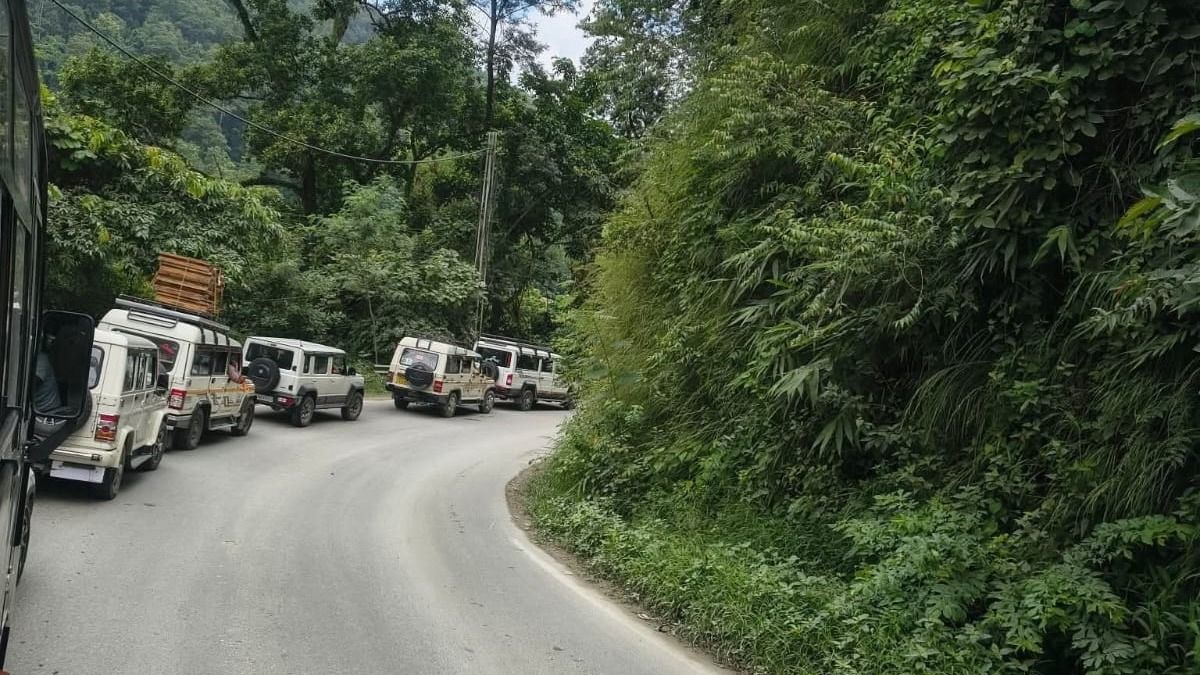 দুর্যোগের উত্তরবঙ্গে সেবকে রাস্তায় পড়ল গাছ, পাহাড়ের সঙ্গে ডুয়ার্সেও বিপদ