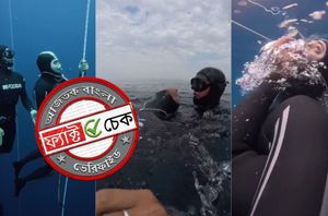 facebook users facebook users