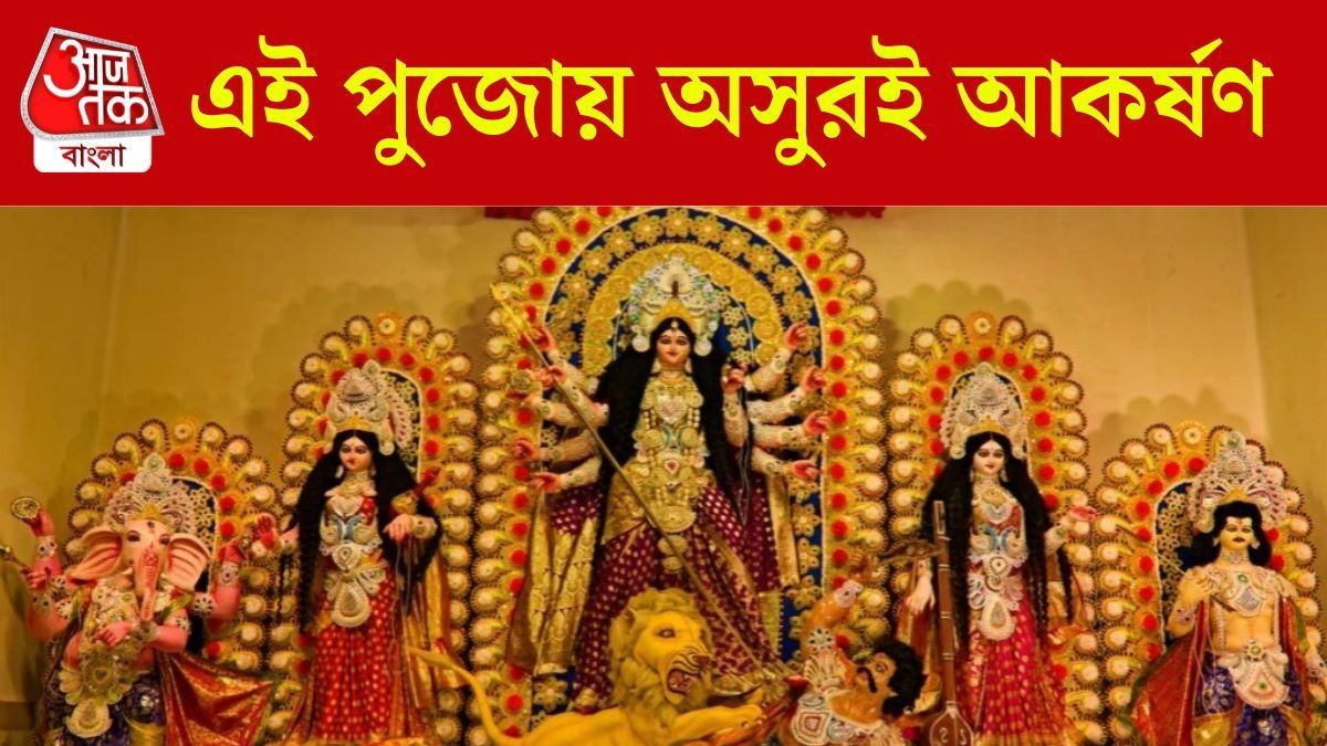 নিউটাউন আকন্দকেশরীর পুজো