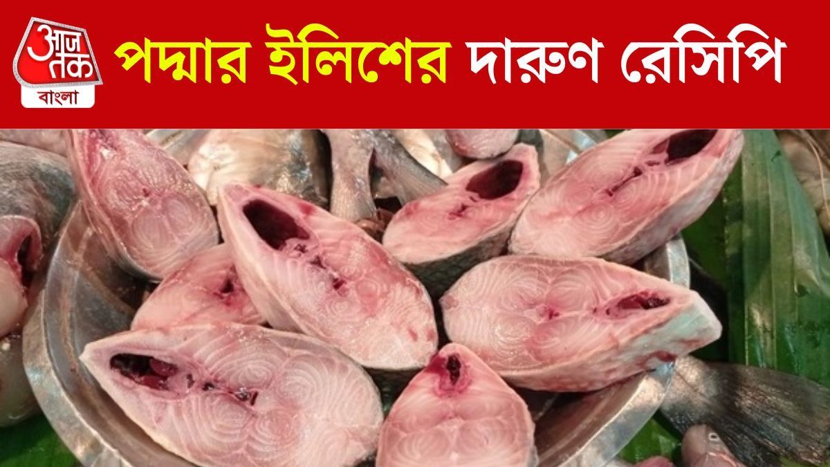 পদ্মার ইলিশ দিয়ে বানিয়ে নিন এই দুই পদ, বাড়ি ম ম করবে গন্ধে 