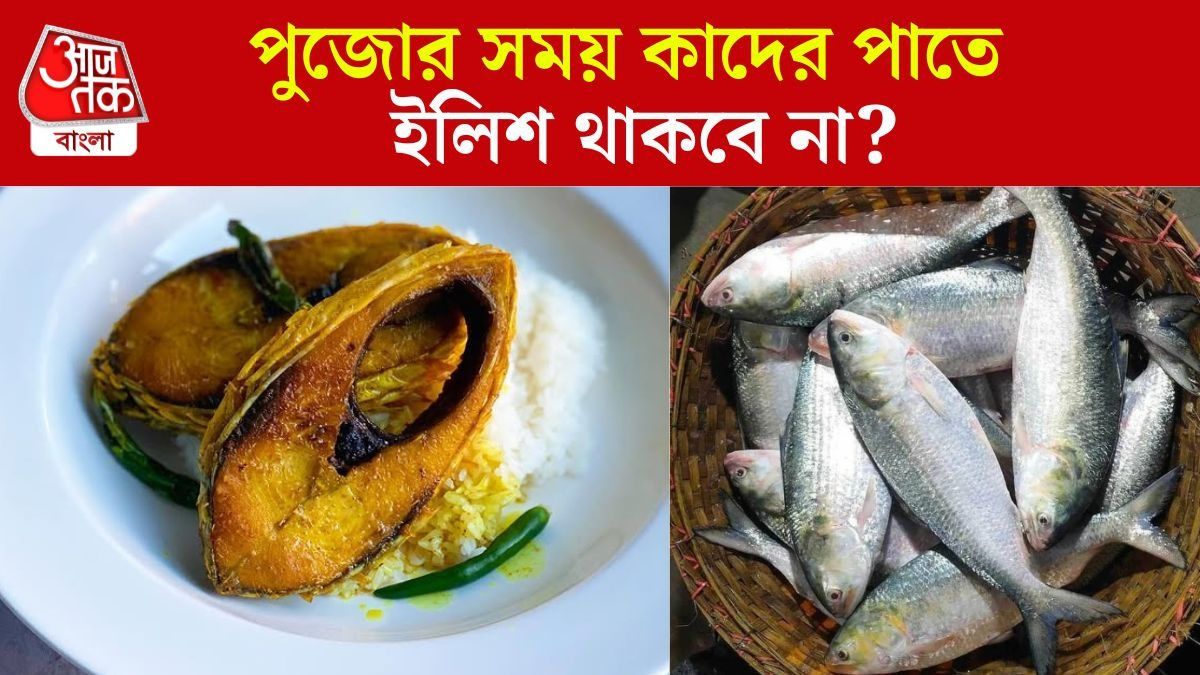 পুজোর আগে কলকাতায় পদ্মার ইলিশ, কাদের পাতে পড়লেই বিপদ?