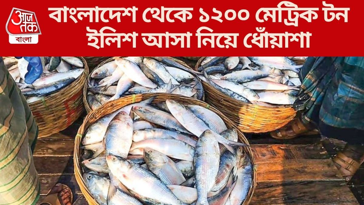  হঠাত্‍ পদ্মার ইলিশ ভারতে পাঠানো বন্ধ করল বাংলাদেশের ব্যবসায়ীরা, কেন?