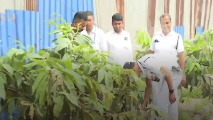 গার্ডেনরিচে ডিসি পোর্টের অফিসের কাছে গুলি