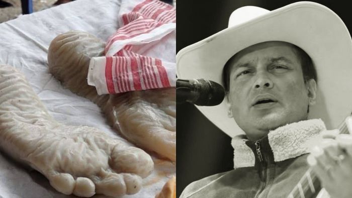 জুবিন গর্গের পদচিহ্ন