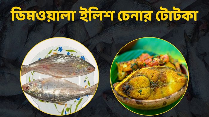 ইলিশ মাছের ডিম