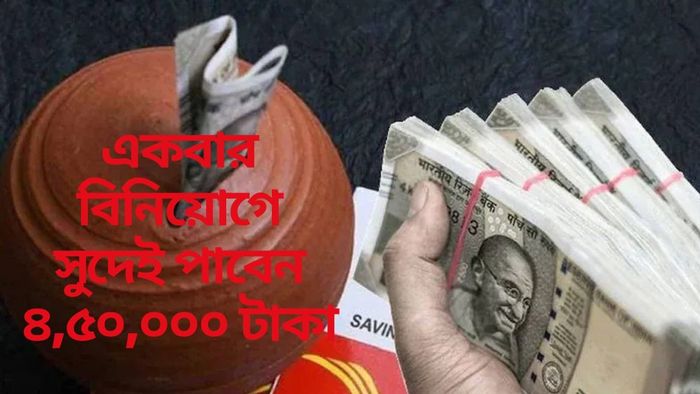 একবার বিনিয়োগে সুদেই পাবেন ৪,৫০,০০০ টাকা