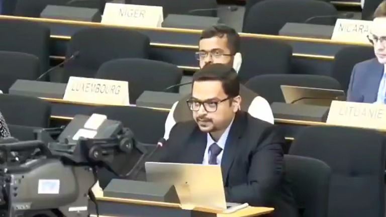 এয়ারস্ট্রাইকে নিজের দেশের মানুষকেই মারে, UN-এ ভারতের 'খোরাক' পাকিস্তান