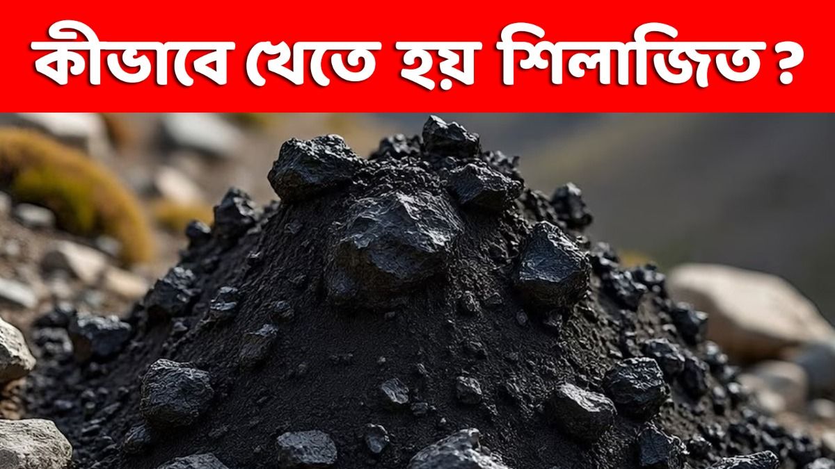 স্ট্যামিনা বাড়াতে শিলাজিতের আসল উপকারিতা পেতে চান? এই ৩ ভুল এড়িয়ে চলুন 