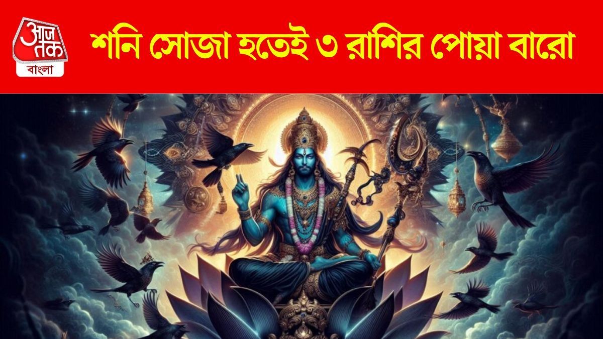 শনির সোজা চালেই অর্থলাভ, নভেম্বরে কেরিয়ার তুঙ্গে ৩ রাশির