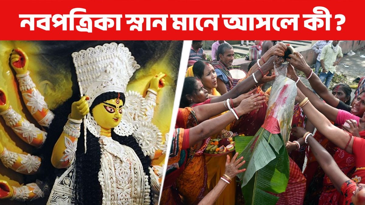 মহাসপ্তমীতে রয়েছে কলা বউ  স্নানের  রীতি, নবপত্রিকা আসলে কী? জানুন নিয়মকানুন 