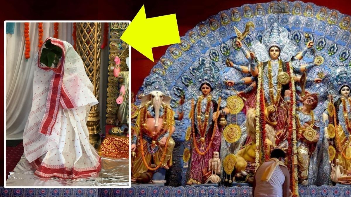 কলাবউয়ের তাৎপর্য কী?