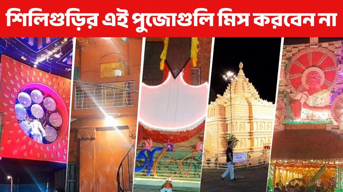 দুর্গাপুজোয় দক্ষিণবঙ্গের সঙ্গে টেক্কা উত্তরেরও, রইল শিলিগুড়ির সেরা ৫ পুজো