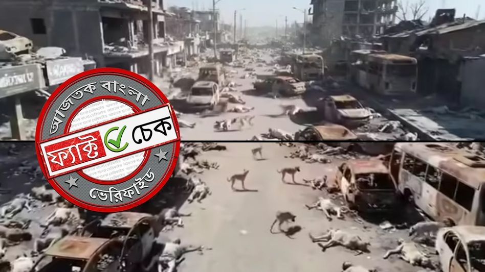 ফ্যাক্ট চেক: গাজাবাসীদের মৃতদেহ ছিঁড়ে খাচ্ছে কুকুর দাবিতে ছড়াল AI নির্মিত ভিডিও ফ্যাক্ট চেক: গাজাবাসীদের মৃতদেহ ছিঁড়ে খাচ্ছে কুকুর দাবিতে ছড়াল AI নির্মিত ভিডিও