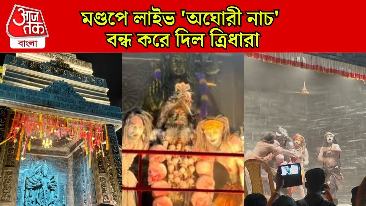 খুলির মালা আর চিতাভস্ম মেখে ত্রিধারার মণ্ডপে 'তাণ্ডব নৃত্য', কী এই অঘোরী নাচ? 