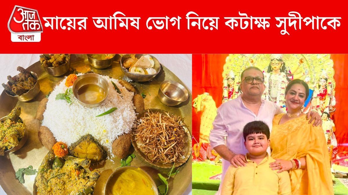 'মা আমাদের সধবা...', আমিষ ভোগ নিয়ে কটাক্ষ সুদীপাকে, দিলেন জবাব