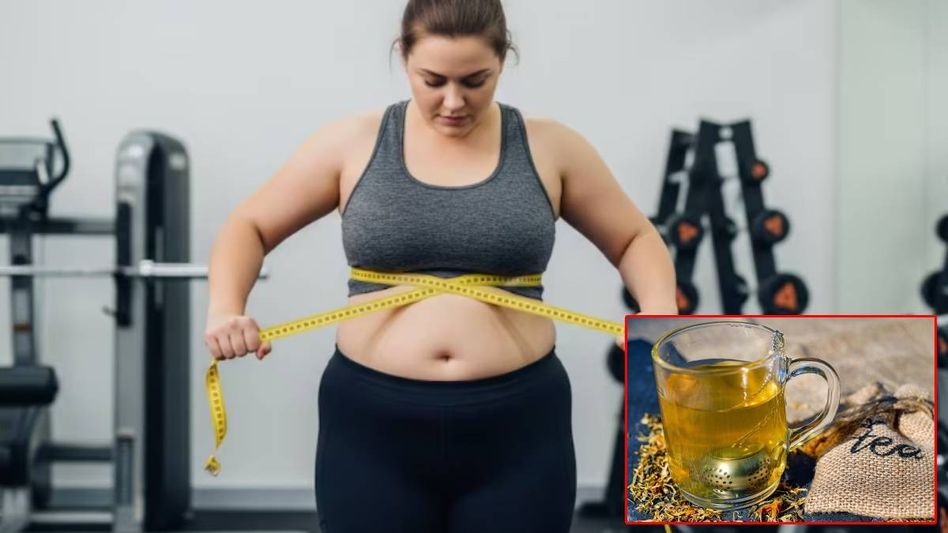 রাতে শোয়ার আগে পান করুন এই মহৌষধি পানীয়, ১ মাসে ঝরে যাবে মেদ রাতে শোয়ার আগে পান করুন এই মহৌষধি পানীয়, ১ মাসে ঝরে যাবে মেদ