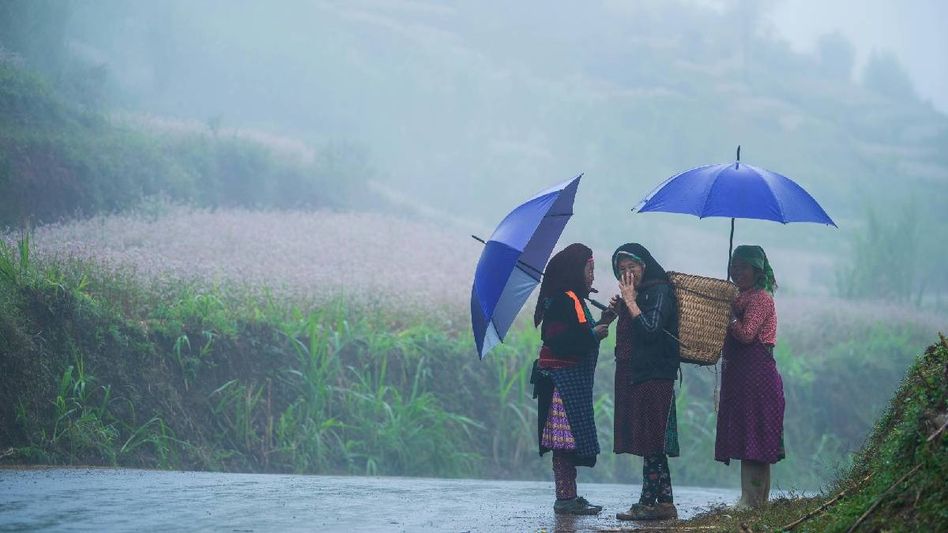 ডুয়ার্স থেকে দার্জিলিং পাহাড়, সিকিম, উত্তরবঙ্গে আবহাওয়ার উন্নতি কবে? আপডেট ডুয়ার্স থেকে দার্জিলিং পাহাড়, সিকিম, উত্তরবঙ্গে আবহাওয়ার উন্নতি কবে? আপডেট